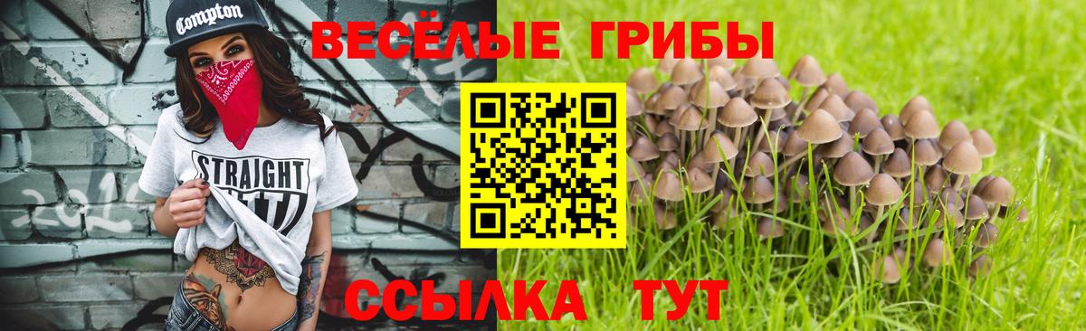 Галлюциногенные грибы Cubensis  Вход с VPN  Галлюциногенные грибы мицелий  Пыть-Ях 